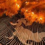Lauren Lapkus Instagram - 🎃💀👻🎃💀👻🎃 Repost @thestrategist: "Each fall, @laurenlapkus puts up an orange plastic 'Christmas' tree with built-in white lights and decks it out with Halloween-themed ornaments," writes Sarah Turcotte, who heard Lapkus describe her yearly tradition on an episode of the podcast Bitch Sesh. "As someone for whom the holidays can’t start early enough, I was inspired. Why should indoor decorative trees be confined to the Christmas season? Three weeks later, a seven-foot orange tree was bewildering my two young sons in our Brooklyn apartment and I was calling Lapkus to learn more about her festive autumn philosophy." Find all the details — including where to get the tree — at the link in our bio. Photo: @laurenlapkus