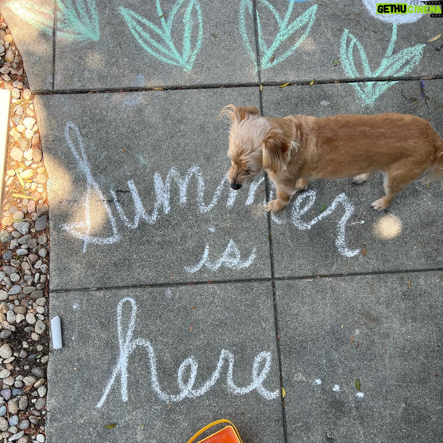 Lauren Lapkus Instagram - Simple summer joys ☀️💕😊⛱️🍉