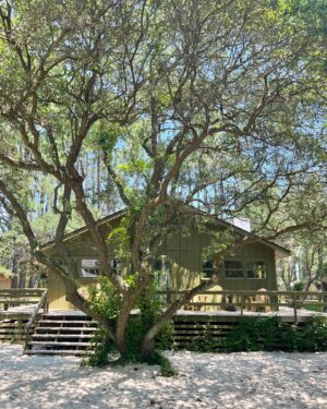 Lauren Liess Instagram - Can’t wait to share this whole place with you!! The Beach Cabin was one of our most memorable projects in my new book, Beach Life. Restoring places at the beach has become a passion of ours and this one was truly an honor to get to work on!! {beach life is available now for preorder with a May 21st delivery date just in time for Memorial Day!!} #wander #beachlife #grounding