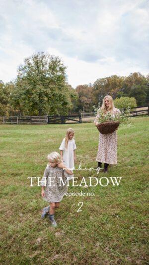 Lauren Liess Instagram - Rewilding is easier said than done. Attempting to rid the meadow of existing invasives has been SUCH a challenge but  it’ll be so worth it when this place is filled with native wildflowers and grasses that will attract pollinators and bring new life this place!! Check out our latest Meadow house update episode on  you  t u be which includes both house   wildflower progress! 🤍🌿 ps- Something I never expected or planned was to have clients calling our firm for not only help designing nature-driven homes homes but also with the desire to rewild the ground their homes are built on and to create not just gardens but also meadows, orchards, and forests - integrating those homes with the land they sit upon in order to foster a connection with nature and biodiversity. I’m no expert in this area but have been doing a ton of research for our own project and I’m loving being a part of it with our interior design clients. It amazes me to see how putting our passions out there leads to new places 🌿 if you’re one of those people and you need help designing your home and this speaks to you, give us a call! 🫶