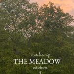 Lauren Liess Instagram – Well it’s finally out! Ep. 3 on our “Making the Meadow” series on you t u be 🌿  Thank you all so much for your support / liking/ subscribing over there!! These next few episodes are still done by us in-house but we’ll headed for an upgrade soon!! 🤍🤍🤍