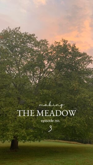 Lauren Liess Instagram - Well it’s finally out! Ep. 3 on our “Making the Meadow” series on you t u be 🌿  Thank you all so much for your support / liking/ subscribing over there!! These next few episodes are still done by us in-house but we’ll headed for an upgrade soon!! 🤍🤍🤍