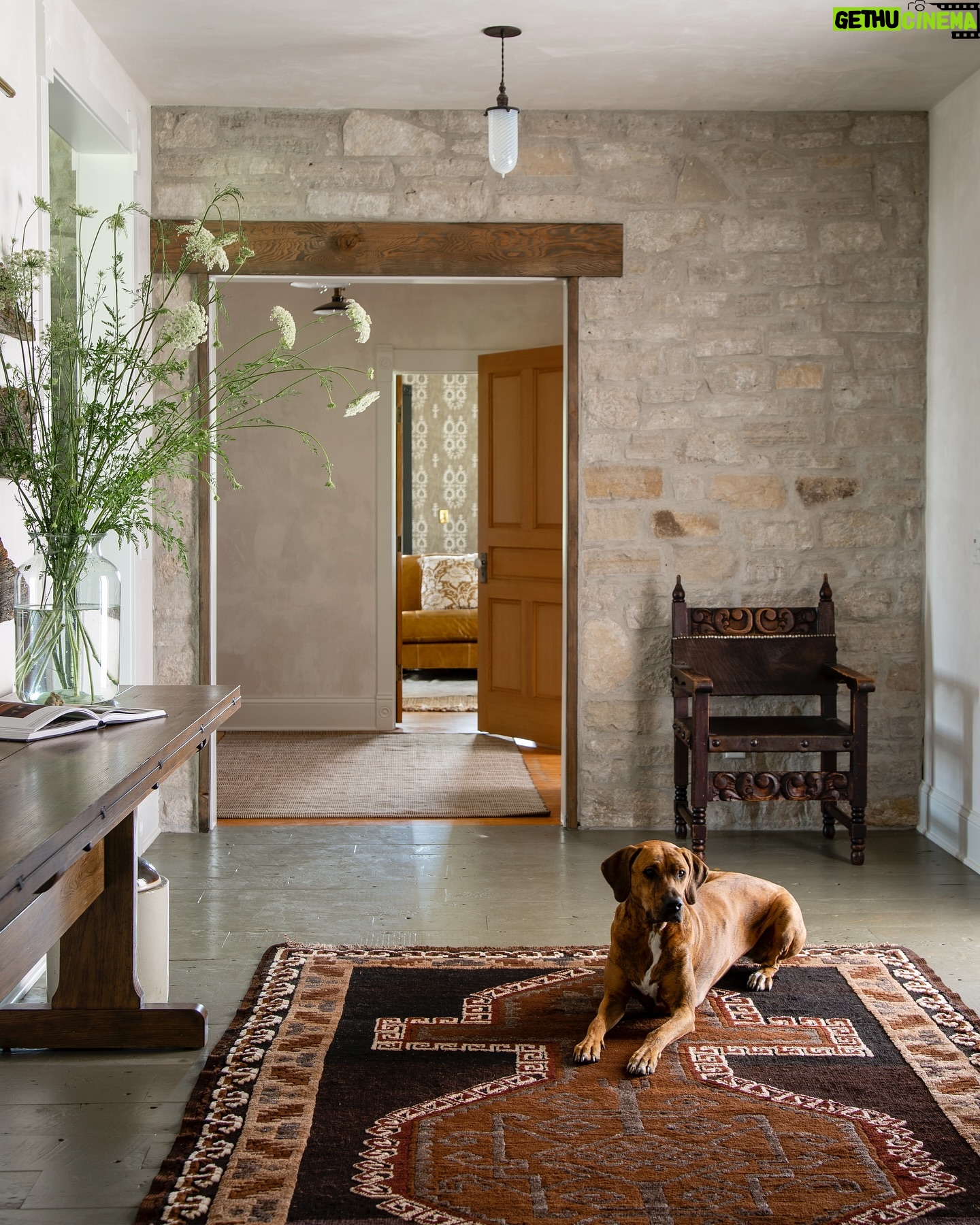 Lauren Liess Instagram - One of my favorite spaces we’ve ever done ~ the foyer in our #wisconsinfarmhouse project 🤍 vintage antiques a “metamorphosis” foyer console that can transform into a full dining table when needed for carryover dining (it’s the opposite of a drop leaf and is from my collection with @woodbridgefurniture ) 🤍🌿 photo by @helennorman | designed by us @laurenliessandco {we get asked all the time if we are taking in new projects and travel and the answer is yes and yes! We’re always looking to work with clients who share our love for nature, real humble materials, and down to earth, soulful living and need their homes designed 🤍 Over half of our projects are out of state 🤍)