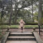 Lauren Liess Instagram - Garden dreaming at the @elizabethangardens 🌿 one of my favorite places to visit- especially in the winter when I’m really missing the green. Live oaks, budding daffodils a forest full of blooming star magnolias & camellias greeted us this time. I love being down in the Outer Banks and this trip was no exception 🌊 it’s always good for the soul. My next book - BEACH LIFE- comes out the weekend before Memorial Day to kick off the summer and it’s all about beach life- interiors, people places food, and how our minds bodies are affected by being near the ocean and how we can use that special time to find our truest selves 🤍 it’s filled with personal stories (lol goes way back to when D and I first met, chronicles how we found and fixed up @thelostcottage and finishes off with our most recently finished project- Dune House- and how some healing has been needed after that one.) BEACH LIFE: HOME, HEART & THE SEA is available now on preorder and I really think you’ll love this one 🤍 ok and one PSA because it’s that time of year again and because it’s in these pictures- NO. MORE. “crepe murder!” Lol PLEASE just don’t do it to your crepe myrtles!!! 🤣🤗