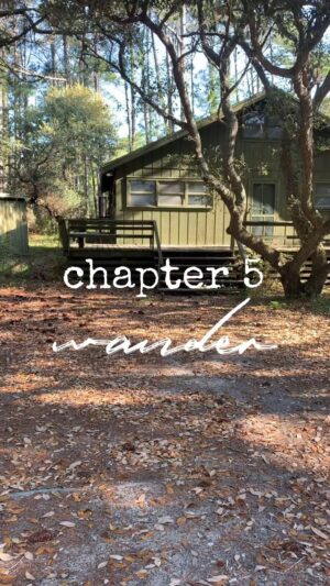 Lauren Liess Instagram - Trying something new here… this is an abridged excerpt from chapter 5 - WANDER- of my newest book, BEACH LIFE. 🌿 T- minus 3 days until publication day and I thought you might like a sneakity peek into the story of the Beach Cabin. Preorders currently available wherever books are sold and preorders help the ultimate success of the book so much!! I’m so grateful for your support!! Xo