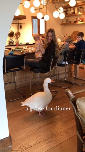 Lauren Liess Instagram - Whelp… goose planning for the meadow. 🪿 When we moved from this house to the meadow, something big got them from the sky (😞) and so we won’t be able to free-range there like the geese on this last property were able to do for 25 years. This makes things complicated but we’re trying to figure out some sort of large aviary situation and/ or a series of pens they can rotate to and from for grazing. (Geese love grass!!) I miss our geese so much and it’s just not the same without them. Simone used to knock on the door with her beak to come inside and hang 🤣🤍🪿