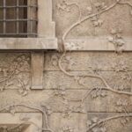 Lauren Liess Instagram - Dreaming like a kid again planning a wall in our orangery with lots of random storage niches for books, herbs, garden stuffs, natural curiosities etc. (swipe for sketch) 🌿 it will be stucco with stucco “vines” growing over the shelves as seen in the first image (of Reggio Emilia) 🌿@laurenliessandco @carrmichaelconstruction