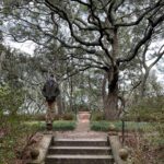 Lauren Liess Instagram – Garden dreaming at the @elizabethangardens 🌿 one of my favorite places to visit- especially in the winter when I’m really missing the green. Live oaks, budding daffodils   a forest full of blooming star magnolias & camellias greeted us this time. I love being down in the Outer Banks and this trip was no exception 🌊 it’s always good for the soul. My next book – BEACH LIFE- comes out the weekend before Memorial Day to kick off the summer and it’s all about beach life- interiors, people   places   food, and how our minds   bodies are affected by being near the ocean and how we can use that special time to find our truest selves 🤍 it’s filled with personal stories (lol goes way back to when D and I first met, chronicles how we found and fixed up @thelostcottage and finishes off with our most recently finished project- Dune House- and how some healing has been needed after that one.) BEACH LIFE: HOME, HEART & THE SEA is available now on preorder and I really think you’ll love this one 🤍 ok and one PSA because it’s that time of year again and because it’s in these pictures- NO. MORE. “crepe murder!” Lol PLEASE just don’t do it to your crepe myrtles!!! 🤣🤗