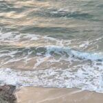 Lauren Lyle Instagram - professional mariners and gentle souls 🫶🏼