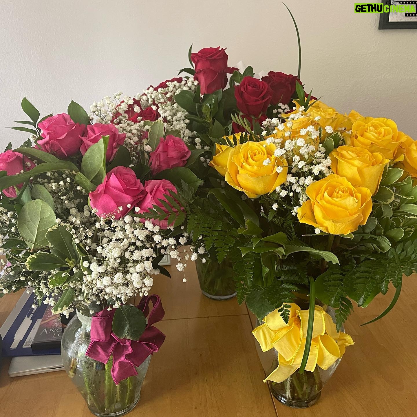 Lauren Williams Instagram - Happy Mothers Day to all the wonderful mamas out there including mine @terri9517 💖 We had such a beautiful day today!! @lokeys910 always be spoiling me 🤗💐💐💐