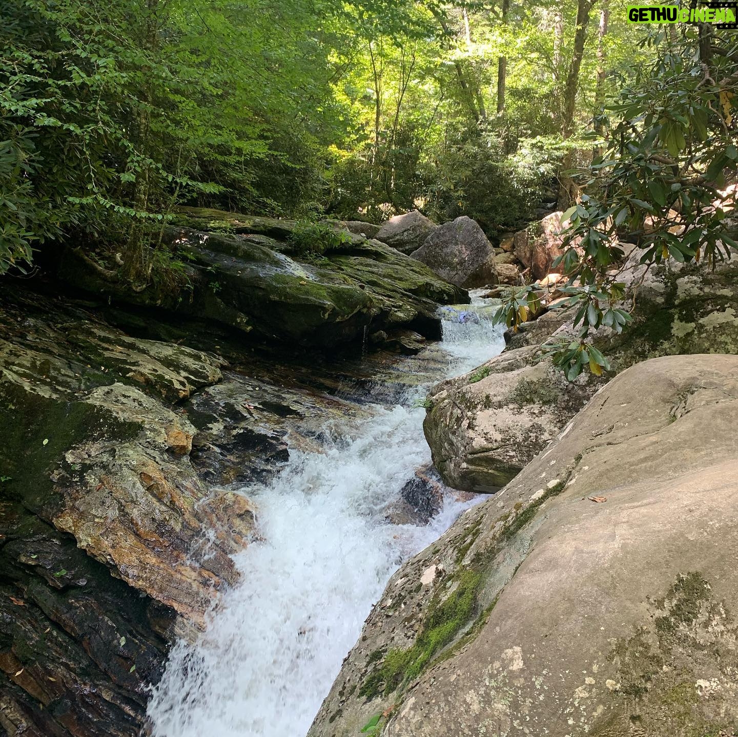 Laurie Holden - 12.5K Likes - I love nature. #hiking #asheville #wonderland