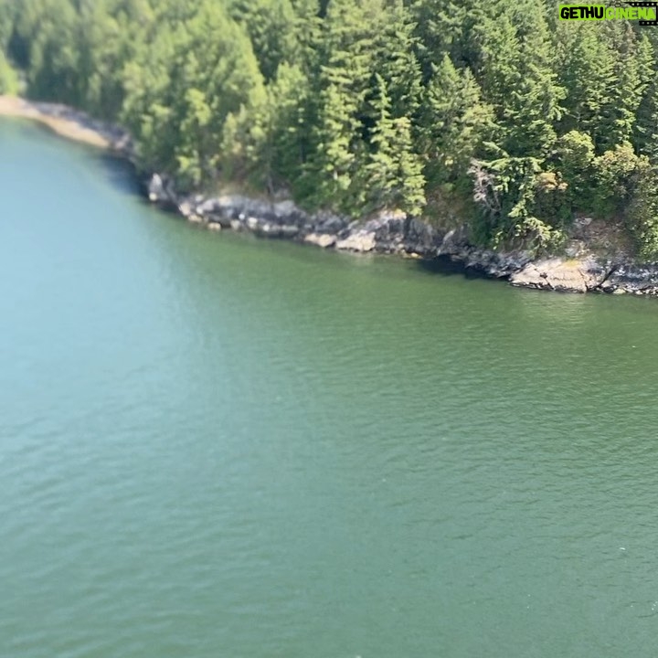 Laurie Holden - 4.5K Likes - This travel to set brought me tremendous joy. Talk about inspiring energy before a gig. #canada #actorslife #grateful