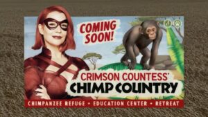 Laurie Holden Instagram - Did you know that #chimpanzees are physically incapable of crying? It’s true. They don’t have any tear ducts. They are also an endangered species - largely due to human interference.

Here is a little video we put together to help raise awareness for this important cause. ( A percentage of the donated proceeds will go the Crimson Countess Chimp Country Sanctuary). 😊

Hope you enjoy the music and be sure to check out this fabulous show. 💋

@theboystv @sonytvofficial 
@amazon @amazonprime 
#crimsoncountess #superhero
