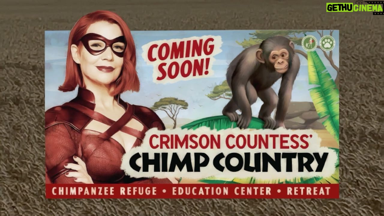 Laurie Holden - 3 Likes - Did you know that #chimpanzees are physically incapable of crying? It’s true. They don’t have any tear ducts. They are also an endangered species - largely due to human interference.
Here is a little video we put together to help raise awareness for this important cause. ( A percentage of the donated proceeds will go the Crimson Countess Chimp Country Sanctuary). 😊
Hope you enjoy the music and be sure to check out this fabulous show. 💋
@theboystv @sonytvofficial
@amazon @amazonprime
#crimsoncountess #superhero