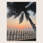Lavina Tandon Instagram – April photo gallery !!! 
.
.
.
April 2024
You have been amazing ❤️
Thank you for making me connect with all the old and new ones.
It has really been special 🌻