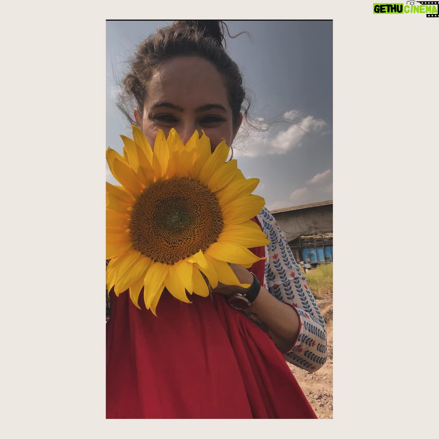 Lavina Tandon Instagram - April photo gallery !!! . . . April 2024 You have been amazing ❤️ Thank you for making me connect with all the old and new ones. It has really been special 🌻