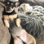 Layla El Instagram – Caption this pic. 🤗 #chewinnie #Amante’ #lover