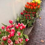 Lea Thompson Instagram - The beauty of art never gets old. In these confusing painful times it feeds my heart to cherish all that is wonderful. Thank you #VanGogh #eiffeltower #tulips🌷 #raininamsterdam🌧️ @amberinthevalley