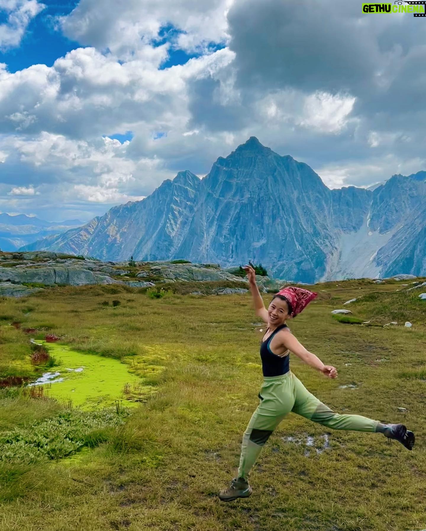 Leah Lewis Instagram - Not complaining about a gorgeous moss pond in the middle of an Alpine meadow at the top of a glacier. Or the weekend spent in a car and the woods with wonderful people. Just a lil hike, a lil mushroom scopin, a lil huckleberry picking, a lil camping, and a car-sleepy bootleg teddy is all 🫶🏽✨