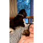 Leah Pipes Instagram - 🐒