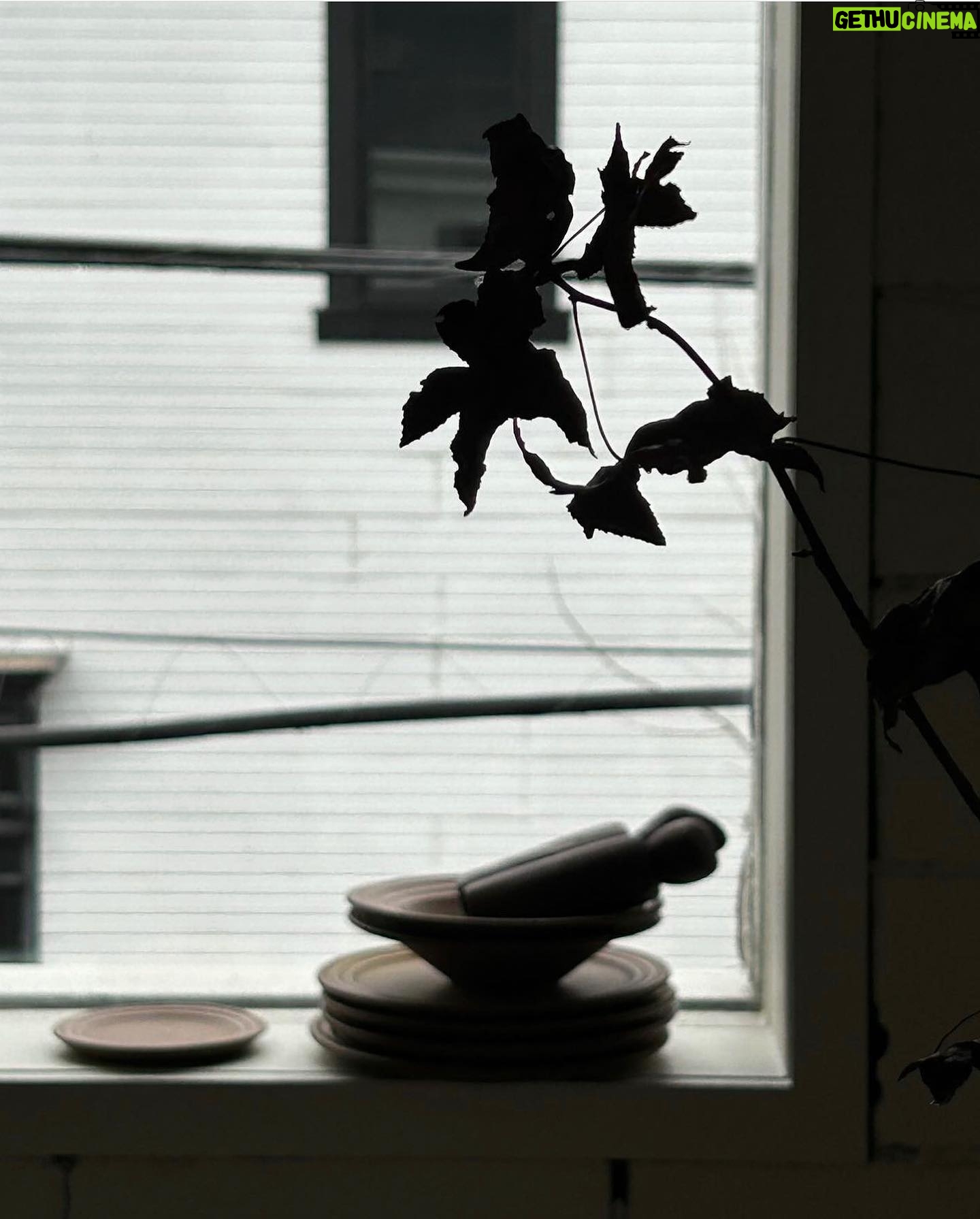 Leanne Ford Instagram - We had THE best time having 20 of the most creative souls in our town (around beyond) come over to play with @hilaryrobertson and @erinashkelly . I am so inspired by the work they created. They combined treasures from our shop here in Sewickley with treasures from their home, from their yard, from @_mon_modern______ ! After a fun chit chat with Hilary and Erin they were off on their own to play, with their new inspiration. And boy did they understnd the assignment. Shall we do this again? #FeelFreeUniversity session 1 shot by @erinashkelly with @hilaryrobertson We still have some signed books from Hilary at the shop if you need a Christmas present for your most creative and inspired friends and family. XO @leannefordinteriors