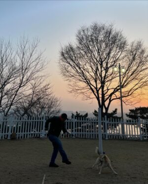 Lee Ayumi Instagram - D-72👶🍼
이렇게 셋이 여유롭게 나들이 갈수있는날도 얼마 안남았구나..👫🐶
시간이 날때마다 후추🐶랑 많~이많이 놀아줘야겠엉🐾

ベビーが産まれたら、こんな風に2人👫 1ワンコ🐶での
ゆっくりデートも当分は難しくなるんだろーなぁ。
時間があるうちにフチュと沢山遊んであげよー。と🐾