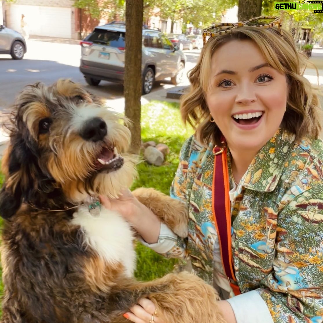Lee Newton - 1K Likes - Hi, I’m still thinking about this dog I met in Chicago. Her name was Polly. In a different life we fought crime together. I miss her every single day.
