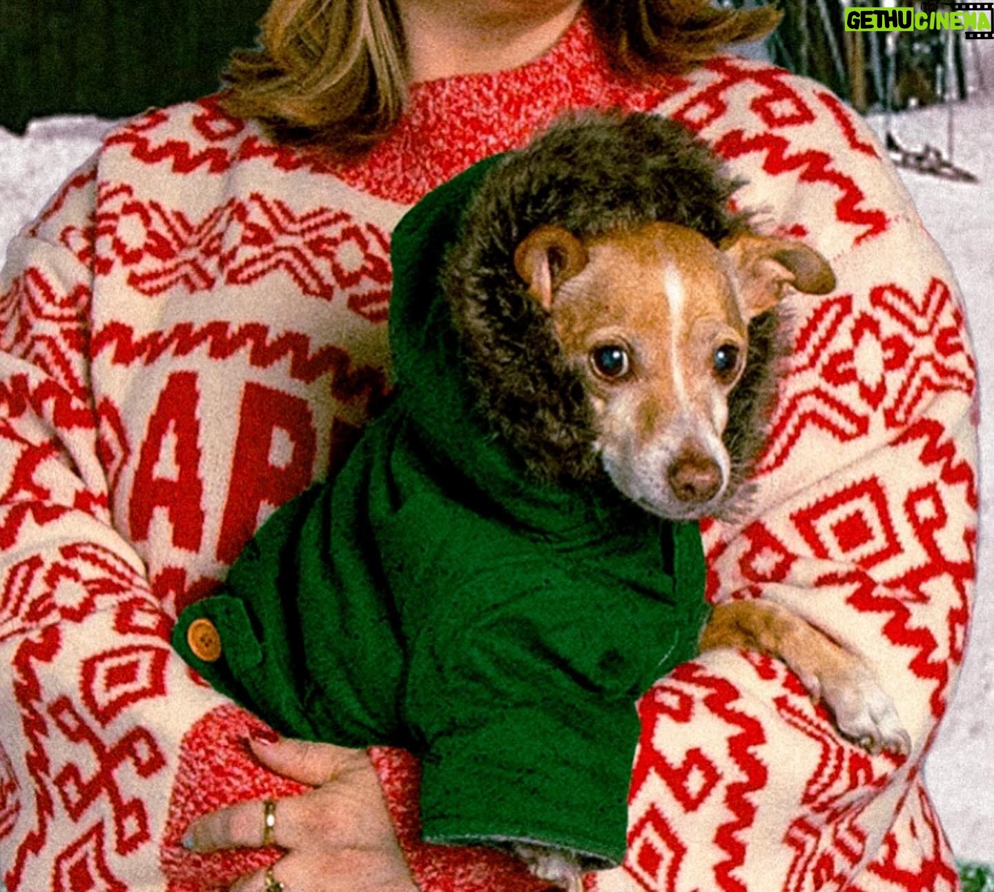 Lee Newton - 1.3K Likes - HAPPY HOLIDAYS FROM THE CHEESES!! 🧀🎄🎅🏻🕎 🐕💕
(Swipe thru for treasures)