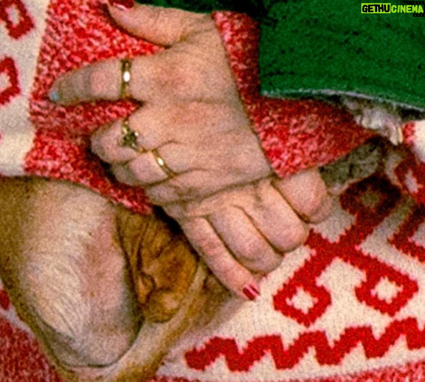Lee Newton - 1.3K Likes - HAPPY HOLIDAYS FROM THE CHEESES!! 🧀🎄🎅🏻🕎 🐕💕
(Swipe thru for treasures)