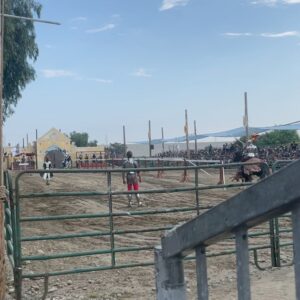 Lee Newton Instagram - Went to the Ren Faire for the pickles, hot nuts and mead- Had the fuggin time of my life. 20/10, would go again…