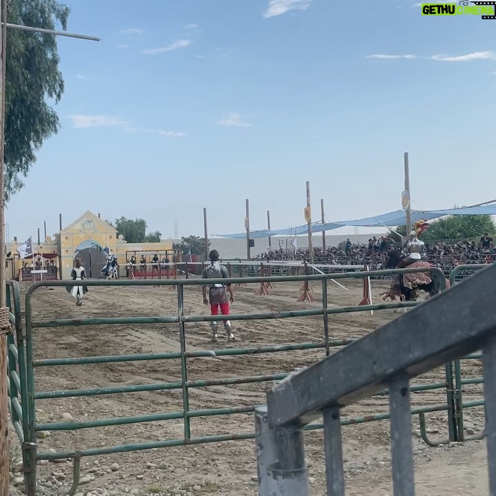 Lee Newton - 2.8K Likes - Went to the Ren Faire for the pickles, hot nuts and mead- Had the fuggin time of my life. 20/10, would go again…