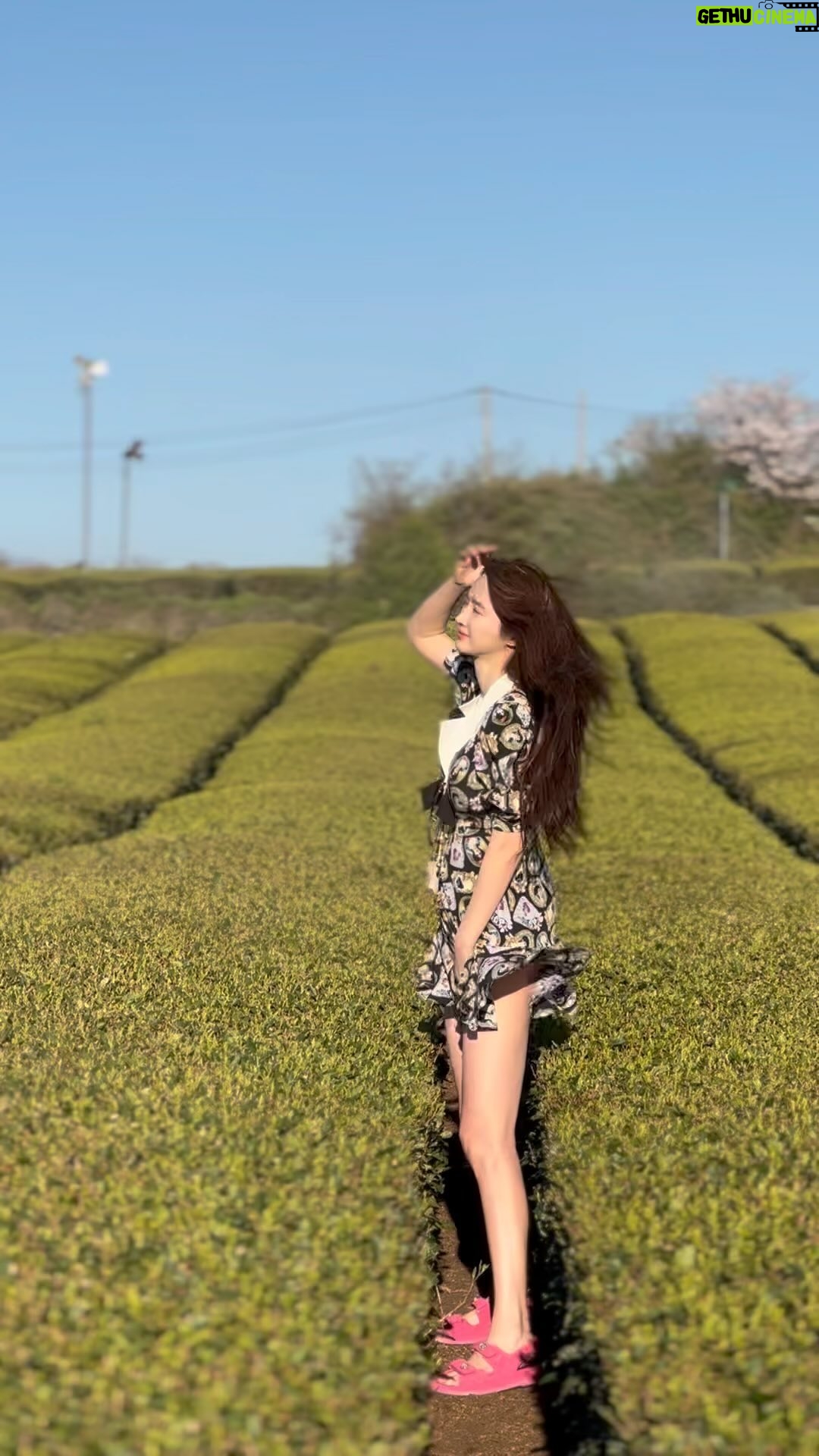 Lee Seo-el - 3 Likes -