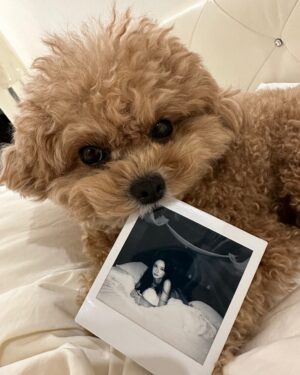 Lee Seo-el Instagram - 쿼카🦦