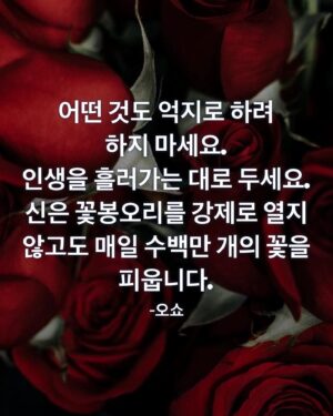 Lee So-ra Instagram - 좋아하는 문구를 제 사진과 >< 함께 올려요ㅎ 
2024년 마음의 소원 이루시고 부디 건강하시고 마음 평안하시길 기원합니다😊

#모티베이션
#motivation
#2024