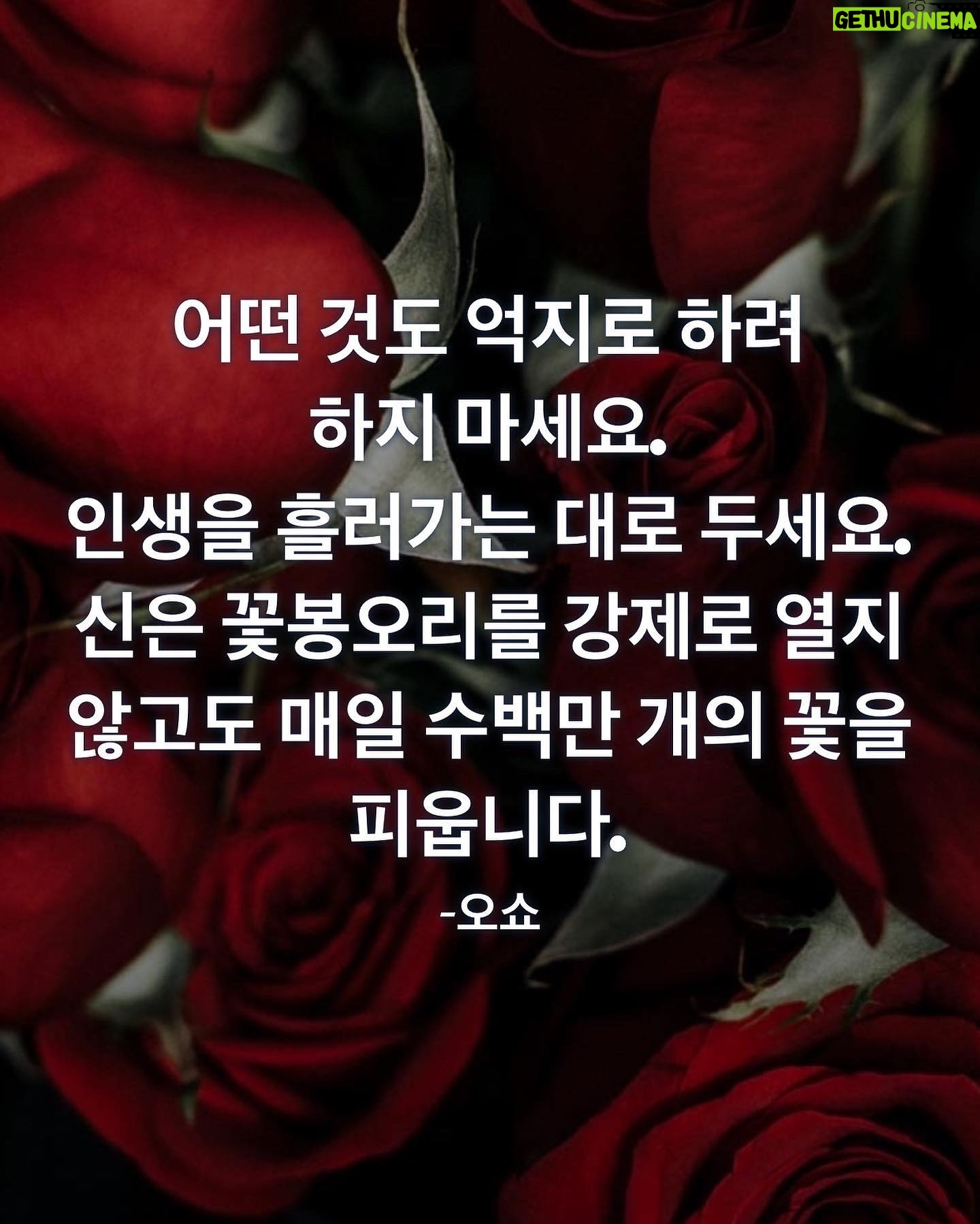 Lee So-ra - 4.7K Likes - 좋아하는 문구를 제 사진과 >< 함께 올려요ㅎ
2024년 마음의 소원 이루시고 부디 건강하시고 마음 평안하시길 기원합니다😊
#모티베이션
#motivation
#2024