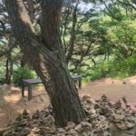 Lee Tae-ran