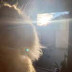Lee El Instagram - _ my sunshine🌞 (됐고,딱 내려놔😑) #김망고똥꼬아들내미마마냥꼬절미절미인절미