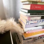 Lee El Instagram - _ 아니 이렇게 귀엽게 잘 일이냐고 #김망고똥꼬아들내미마마냥꼬절미절미인절미