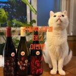 Lee El Instagram - _ 이벤트 및 라방공지* 라방** 이엘 x 뱅베 라이브 방송이 예정되어 있습니다! 22년 6월 1일 20시 이벤트** 국내 한정 수량으로 출시한 '라팔뤼 이엘 에디션' 3종 세트를 구매하시고 뱅베(@vinv.kr)계정을 태그하여 인증을 올려주신분 중 9분을 추첨하여 이엘님(@2l_kjh) 사인바틀을 선물로 보내드릴 예정입니다. 인증포스팅은 스냅샷으로 남게되어 추첨에 사용될 예정이며, 22년 5월 31일 오전 12시까지 올라온 포스팅에 한해 유효합니다. 그렇대여!😆 많관부 많참부!🙌🏻 모델 치코(@catxoffee) 고마워! #뱅베#꺄브뱅베#라팔뤼#이엘#라이브방송#라팔뤼이벤트#이엘라팔뤼#뱅베이벤트