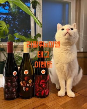 Lee El Instagram - _
이벤트 및 라방공지*

라방**
이엘 x 뱅베 라이브 방송이 예정되어 있습니다!

22년 6월 1일 20시

이벤트**
국내 한정 수량으로 출시한 '라팔뤼 이엘 에디션' 3종 세트를 구매하시고 뱅베(@vinv.kr)계정을 태그하여 인증을 올려주신분 중 9분을 추첨하여 이엘님(@2l_kjh) 사인바틀을 선물로 보내드릴 예정입니다.

인증포스팅은 스냅샷으로 남게되어 추첨에 사용될 예정이며,
22년 5월 31일 오전 12시까지 올라온 포스팅에 한해 유효합니다.

그렇대여!😆 많관부 많참부!🙌🏻
모델 치코(@catxoffee) 고마워!

#뱅베#꺄브뱅베#라팔뤼#이엘#라이브방송#라팔뤼이벤트#이엘라팔뤼#뱅베이벤트