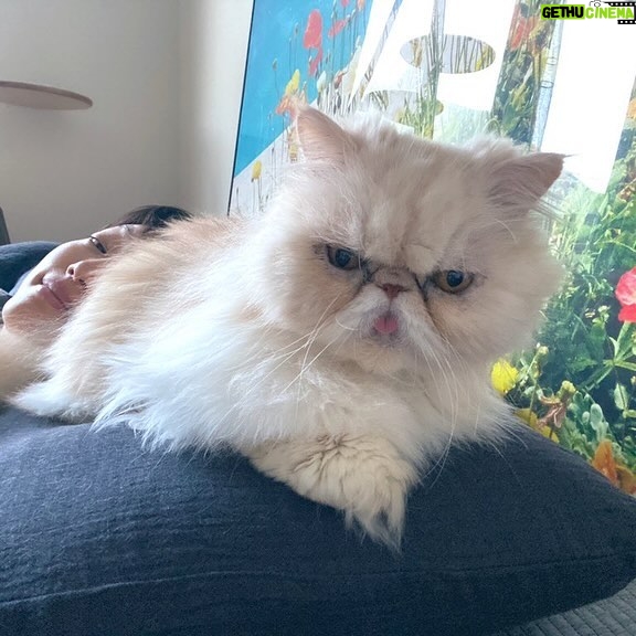Lee El Instagram - _ 우울증을 극복해 내고 얼마 되지 않아 스스로 침대로 올라온 몇 안되는 날 중 하루라 기록.#김망고똥꼬아들내미마마냥꼬절미절미인절미순둥이짠짠둥이