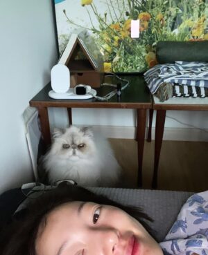 Lee El Instagram - _
요즘