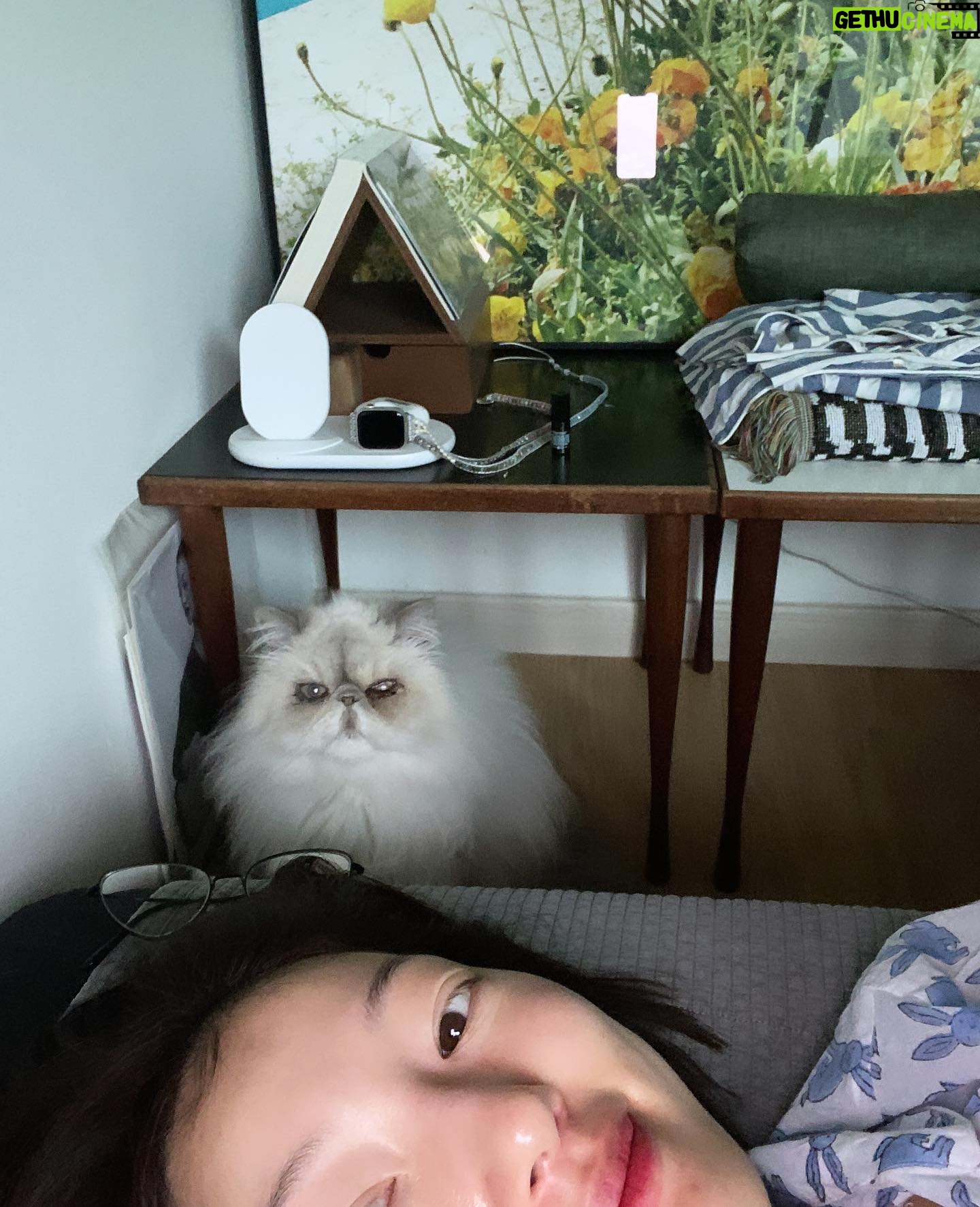 Lee El - 4K Likes - _
요즘