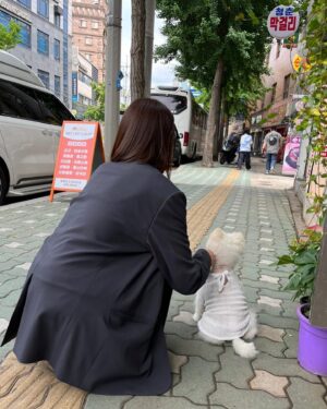Lee El Instagram - _
아무리 힘들어도
멈머친구들 만나면
천년의 피로도 사라지는 듯