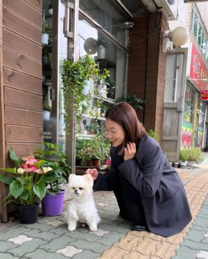 Lee El Instagram - _
아무리 힘들어도
멈머친구들 만나면
천년의 피로도 사라지는 듯