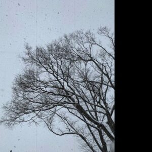 Lee Elijah Instagram - 