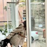 Lee Hae-young Instagram – 북실북실 파마했음~👩🏽‍🦱