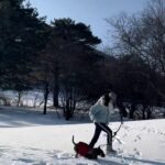 Lee Hae-young Instagram - 부라보랑 눈밭에서~❄️🩶
