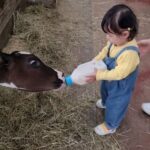 Lee Jung-hyun Instagram – 일요일 아침부터 아기소들 우유주느라 바쁜 서아🤣🍼🐄아기소 힘도 쌘데 서아는 튼튼한 두다리로 잘도 버텨요ㅋㅋ🐏💛 농부서아🌾🐥