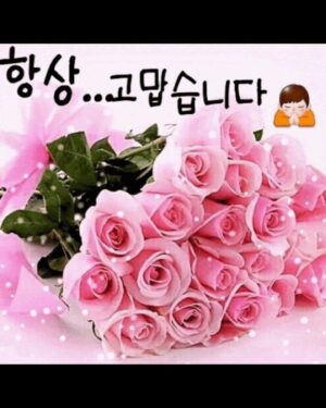Lee Re Instagram - -
저.. 드레스 자랑 살짝 할게요ㅎㅎ? ˚✧₊⁎❝᷀ົཽ≀ˍ̮ ❝᷀ົཽ⁎⁺˳✧༚

🙇🏻‍♀️🙇🏻‍♀️